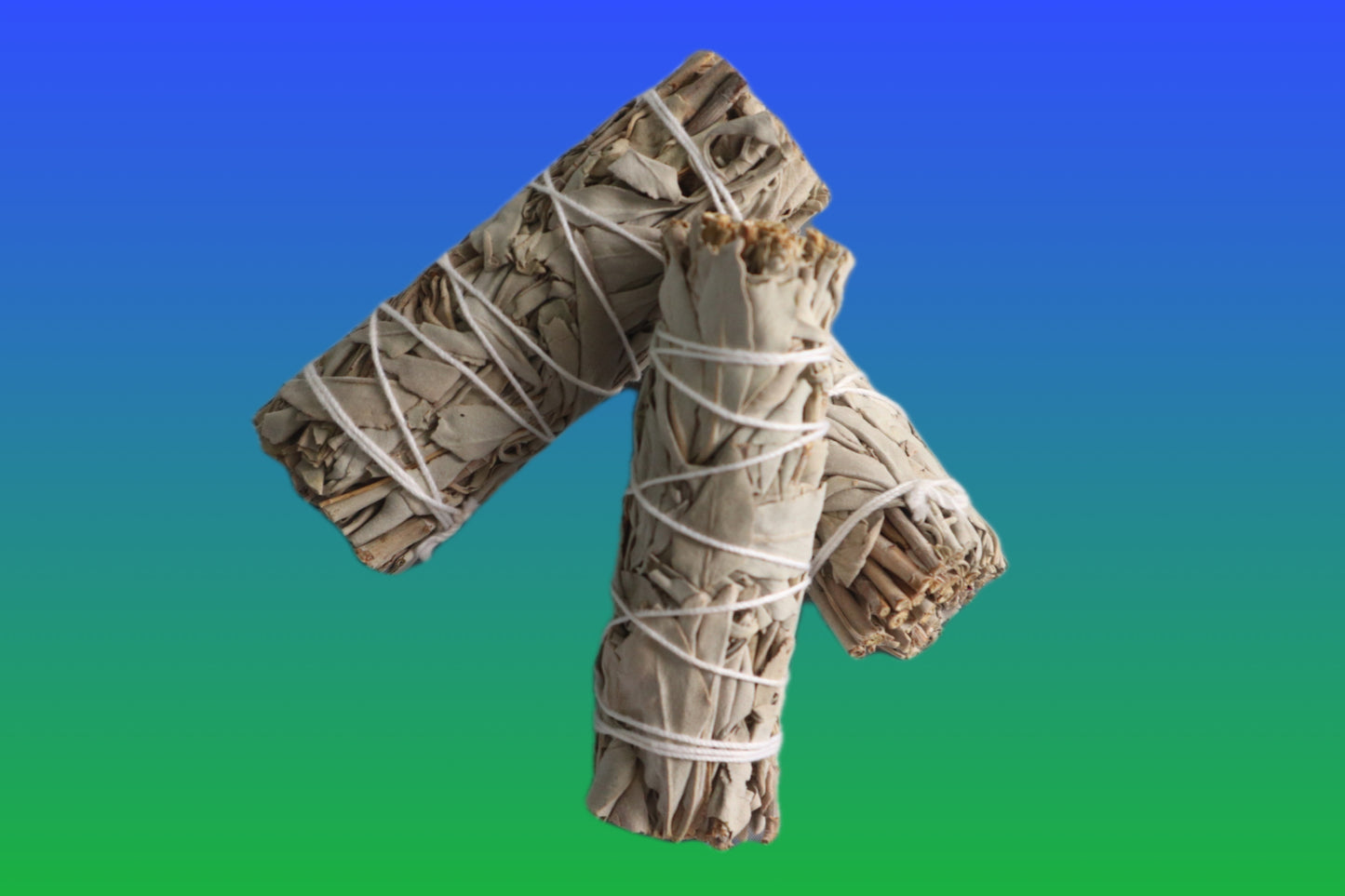 White Sage